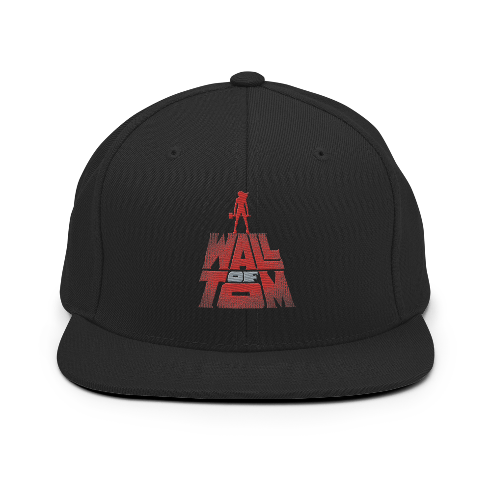 Snapback Hat- Classic Logo